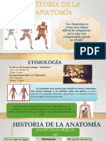 Historia de La Anatomía