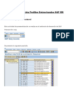 Parametrizacion Perfil Estructural SAP HR