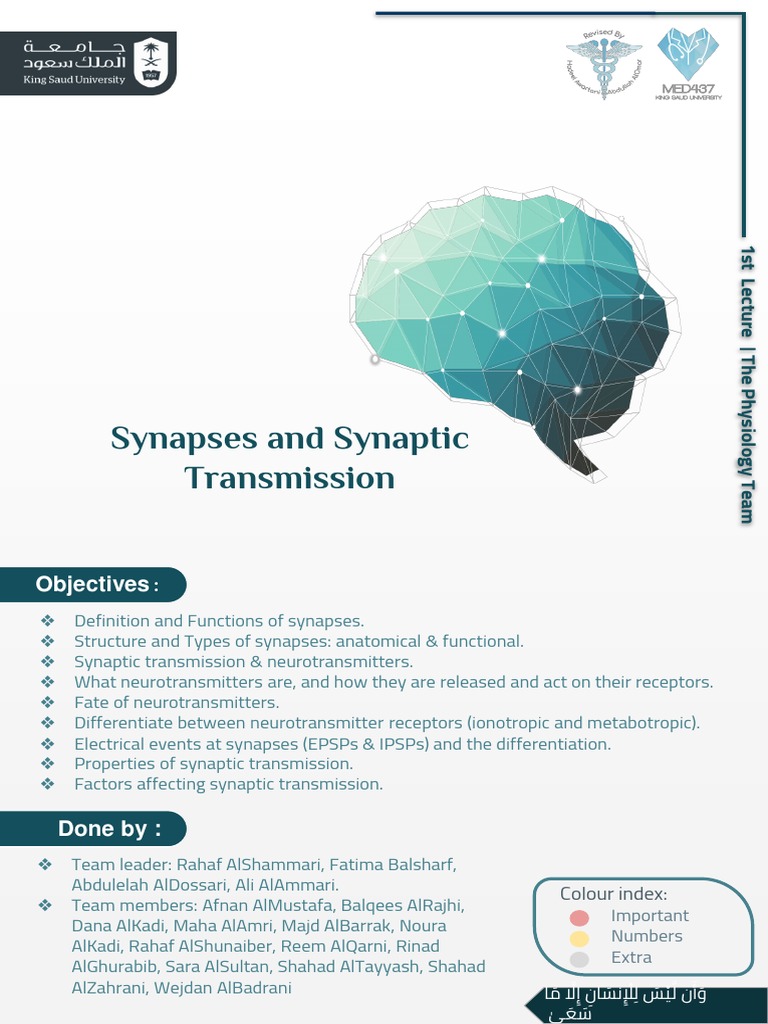 Properties and Factors of Synaptic Transmission | PDF | Chemical ...