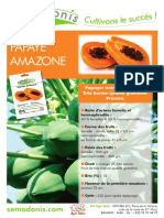 Fiche Papayer Amazone Taux Germination Semences Optimum 1516118823