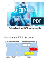 Materi 5 Principles of An ERP Implementation