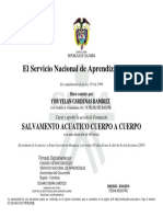 Certificado Salvamento Cuerpo A Cuerpo Sena