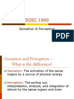 7 Sensation & Perception