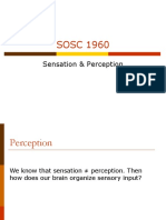 8 Sensation & Perception