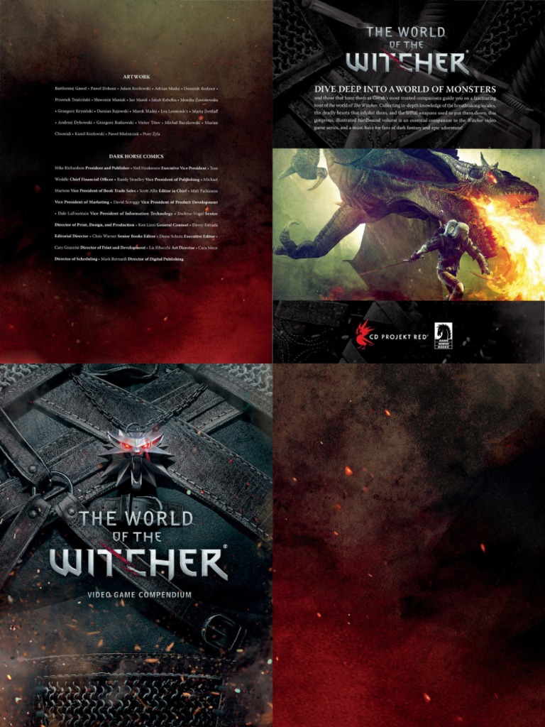 The World of The Witcher - Video Game Compendium | PDF