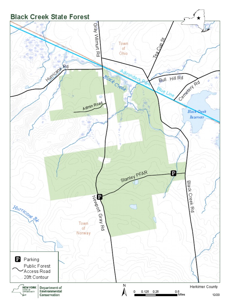Black Creek State Forest PDF