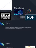 Eletroforese - BIOCEL