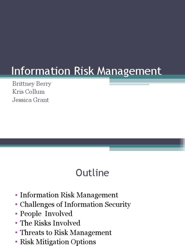 Information Risk Management | PDF