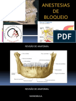 Aulade Anestesias Troncularesa 446705