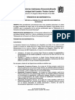 TERMINOS DE REFERENCIA CONSULTORIA GESTION DOCUMENTAL
