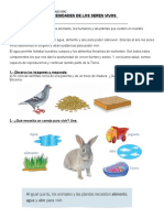 Animales Domésticos