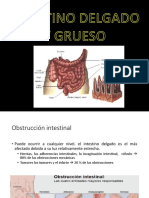 Clase Patologia Digestiva 2021-2