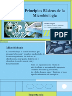 Principio Basicos de La Microbiologia