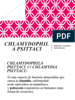 Chlamydophila Psittaci