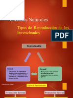 Tipos de Reproducción Invertebrados (2)