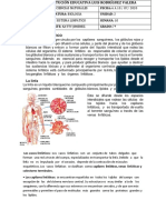 Guia 7º Sistema Linfatico