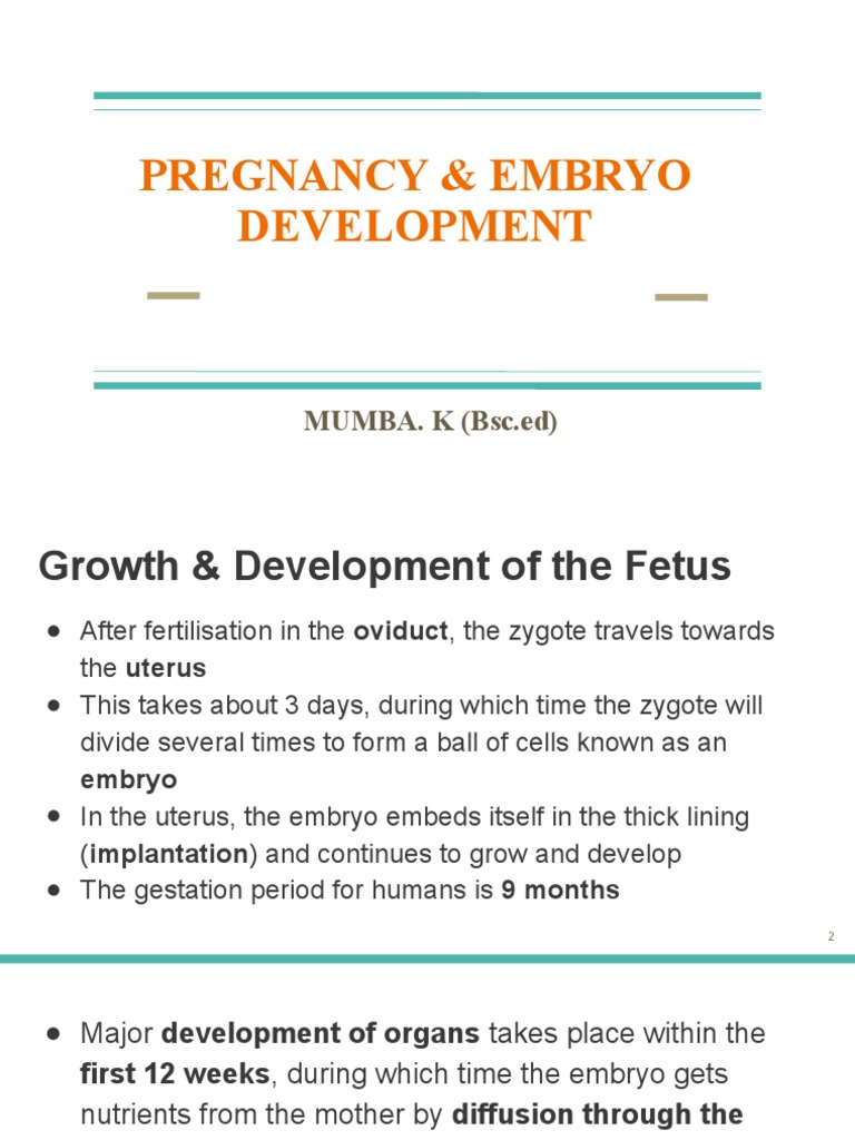 Pregnancy & Embyo Development | PDF | Birth Control | Placenta