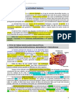 Metabolismo durante la actividad motora