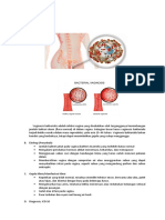 Vaginosis Bakterialis