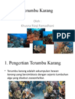 Terumbu Karang: Pentingnya Pelestarian