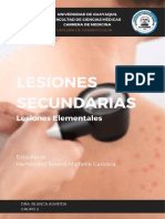 Lesiones Elementales Secundarias - Michelle Hernández - Grupo 2