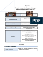 Copia de ANEXO #10. Programa Reformulado FDI 2012