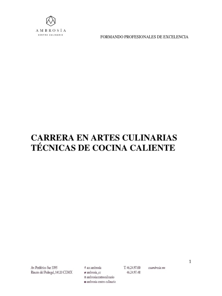 Técnicas de Cocina Caliente en Artes Culinarias | PDF | Fritura | Carne