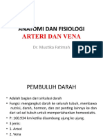 Arteri Dan Vena