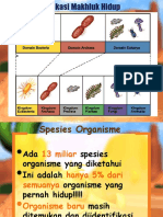 classification of life new.en.id