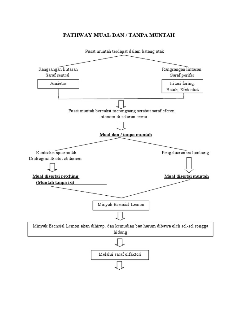 Pathway Aromaterapi Lemon Atasi Mual PDF