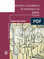 Introduccion Desarrollo Programas Java PP 