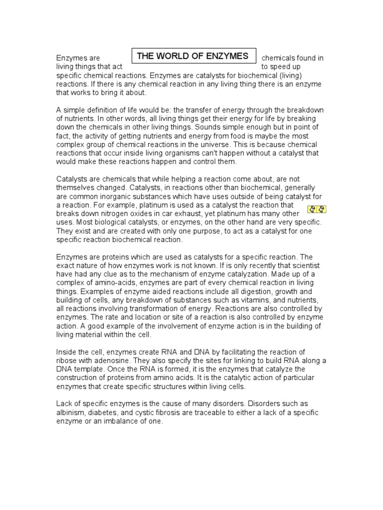 WHAT ARE ENZYMES A COMPLETE BEGINNER S GUIDE TO NATURE S CATALYSTS visual data 2