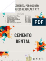 Histologia, Cemento, Periodon, Hueso 1