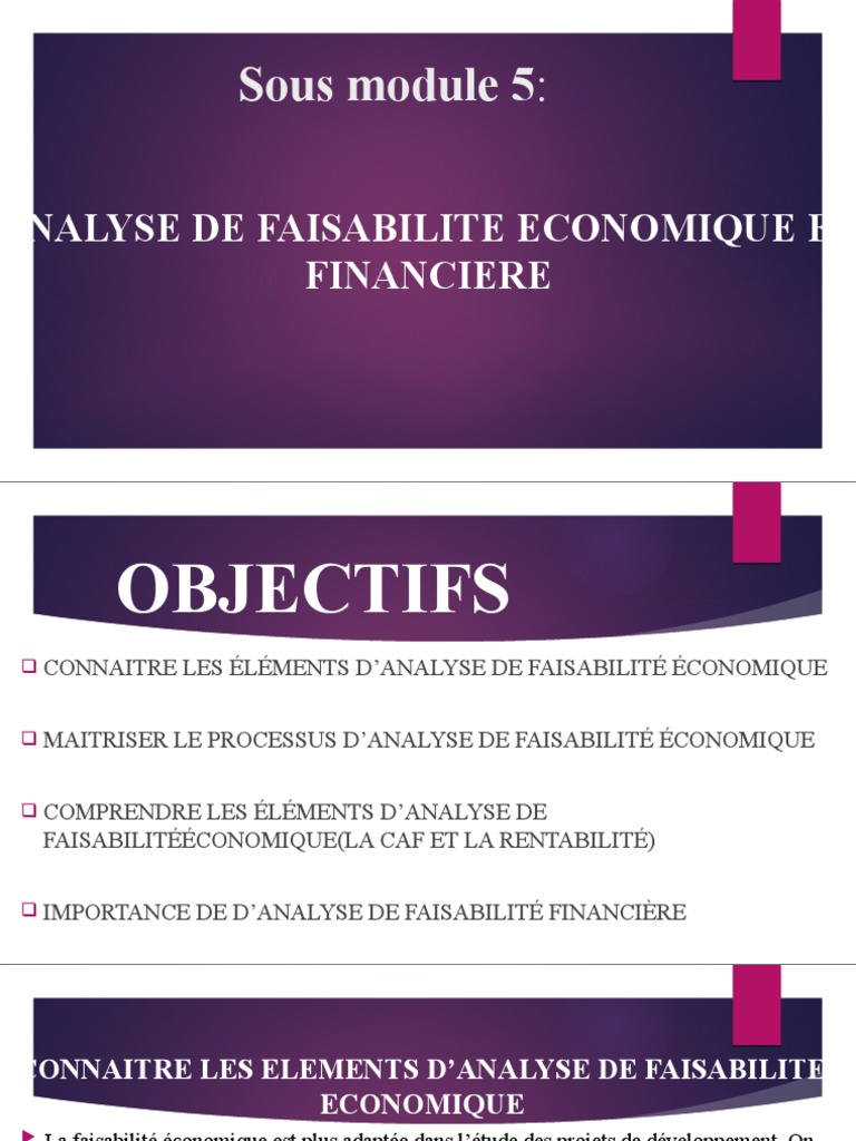 Analyse de Faisabilité Economique Et Financiere COMPLET | PDF | Valeur ...