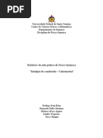 Exp. 10 - Relatório de fisico quimica - Entalpia de combustão - Calorimetria