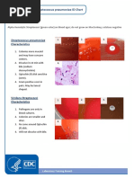 Staphylococcus Identification Guide | PDF | Staphylococcus | Microbiology