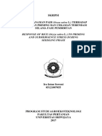 Skripsi: Response of Rice (Oryza Sativa L.) To Priming and Submergence Stress During Seedling Phase