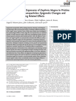 Multigenerational Exposures of Daphnia Magna to Pristine and Aged Silver Nanoparticles Epigenetic Changes and Phenotypical Ageing Related Effects