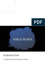 Ankle Block Guide