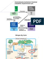 Bio 1 - Ecosystem Slide 2