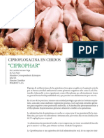 Ciprofloxacina en Cerdos