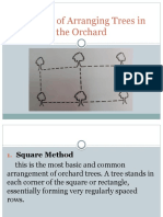 Methods of Arranging Trees in The Orchard