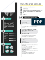 Prof. Ricardo Salinas López CV