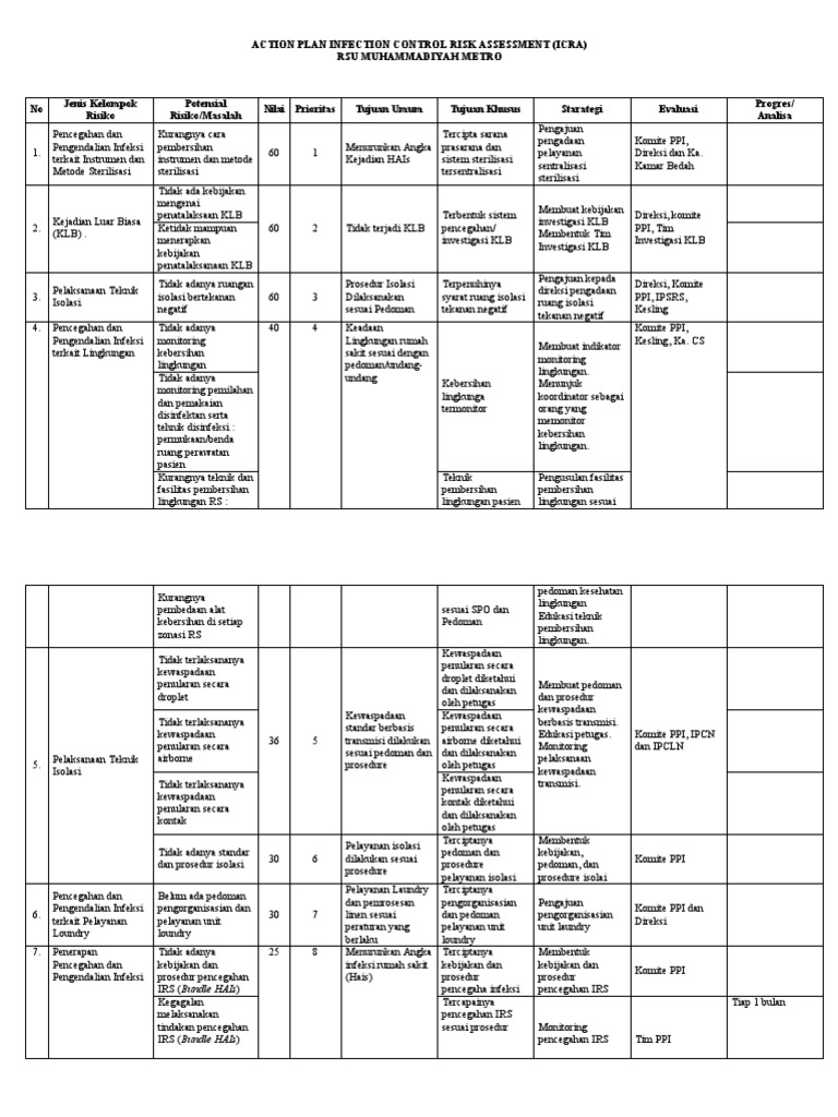 Action Plan ICRA PDF