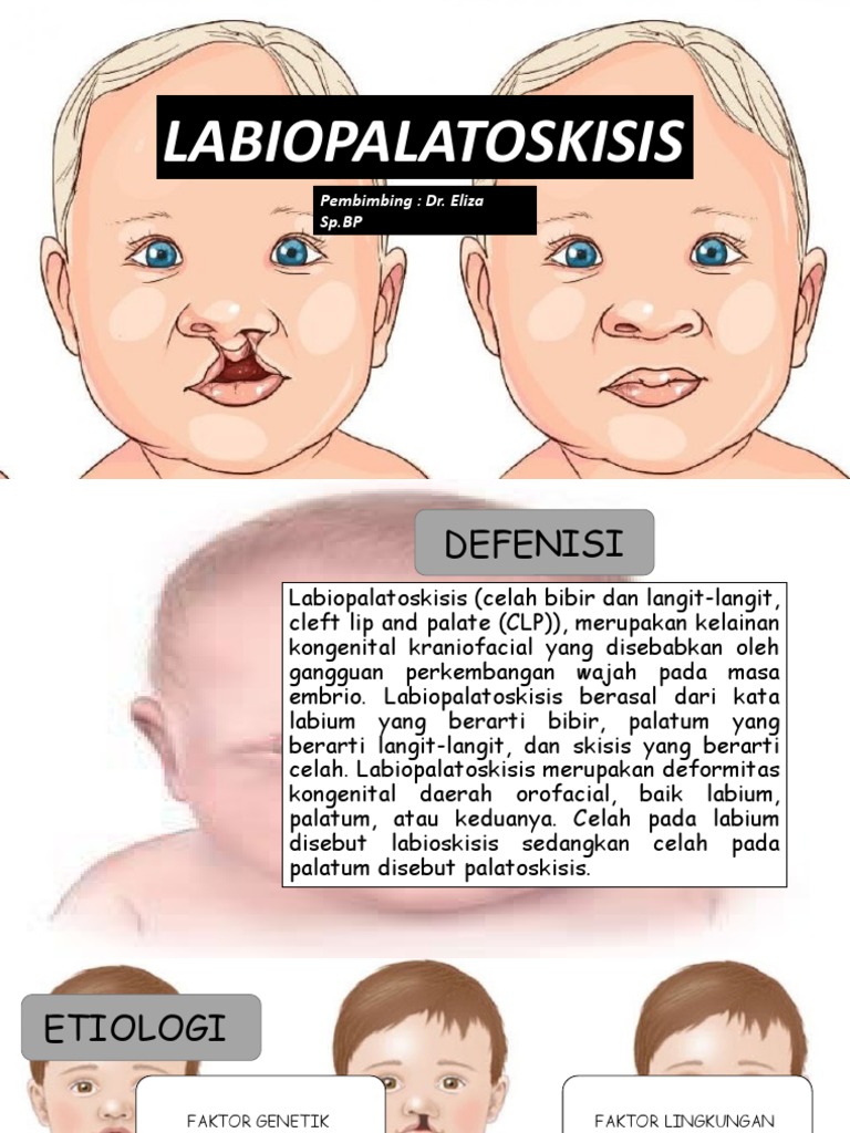 Seksi dumba pornosini onlayn tomosha qiling