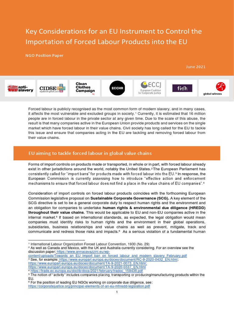 EU Controls on Forced Labour Imports | PDF | European Union | Human Rights