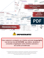 PDF-04_Espécies de Prisão e Provas