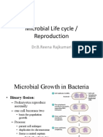 6.life Cycle of Microbes A