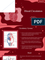 Biology PBL - The Circulatory System