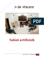 Plan Afacere Salina Artificiala